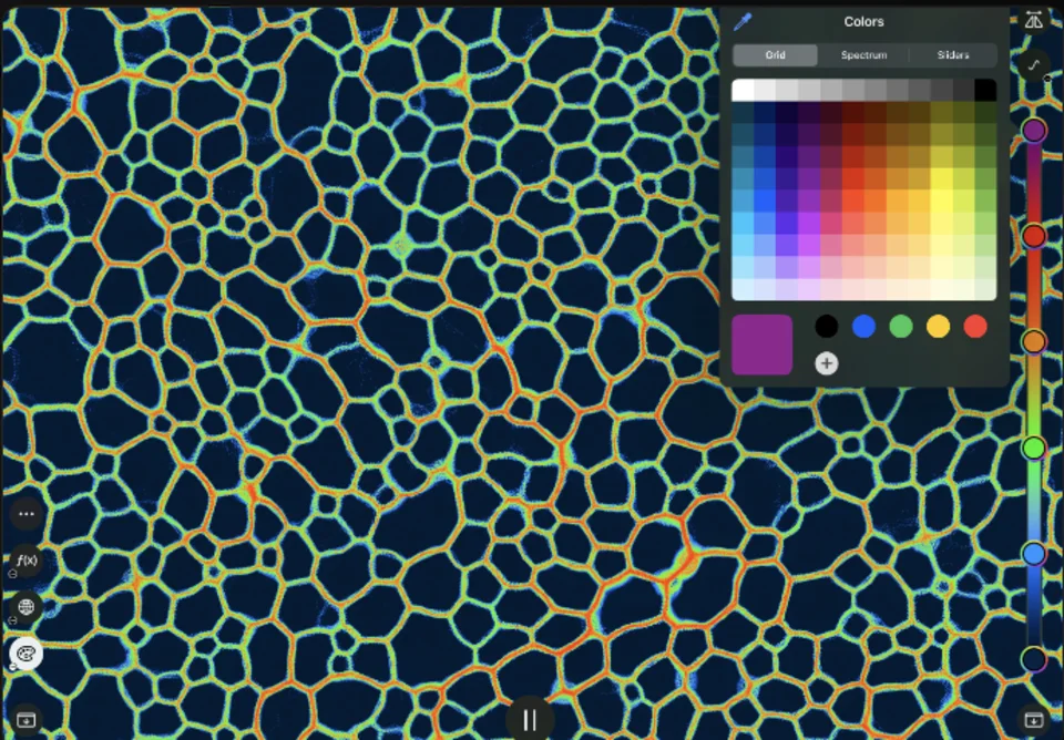 Physarum agent trails and colour controls on iPhone and iPad